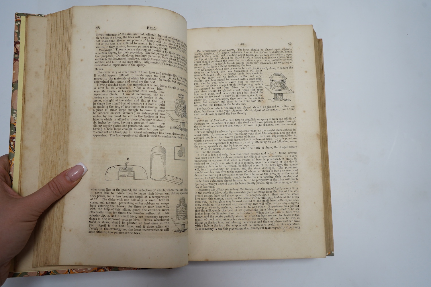 Marshall, William - Minutes, Experiments, Observations...on Agriculture.....in the Southern Counties. new edition. To which is prefixed a Sketch of the Vale of London, and an outline of its rural economy....2 vols. 2 fol